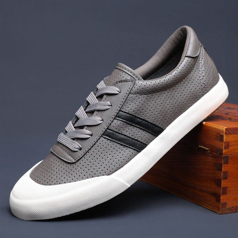 Men's Shoes Spring And Summer Breathable Fashionable Shoes Casual Odor-destroying Leather