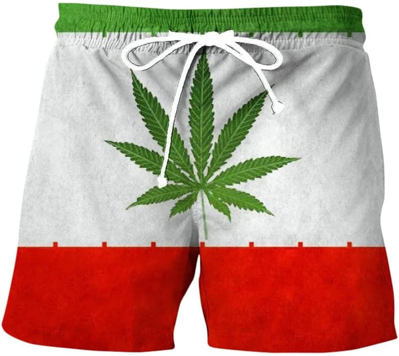 Summer Men Beach Shorts Casual 3d Print Weed Graphic Short Pants Oversized Casual Quick Drying Vacation Men Swimming Shorts Y2k