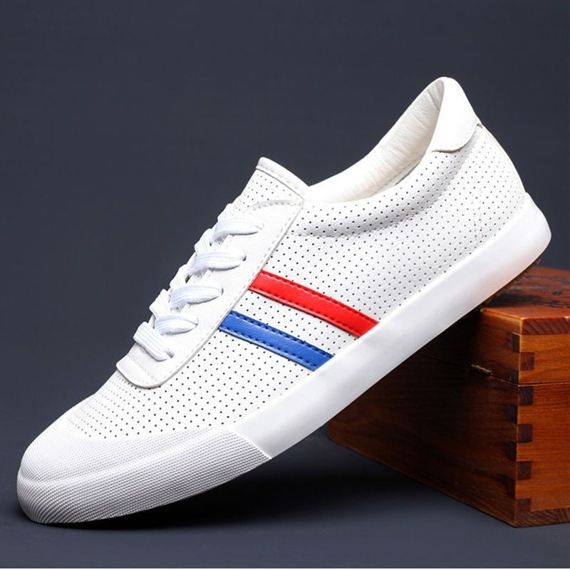 Men's Shoes Spring And Summer Breathable Fashionable Shoes Casual Odor-destroying Leather